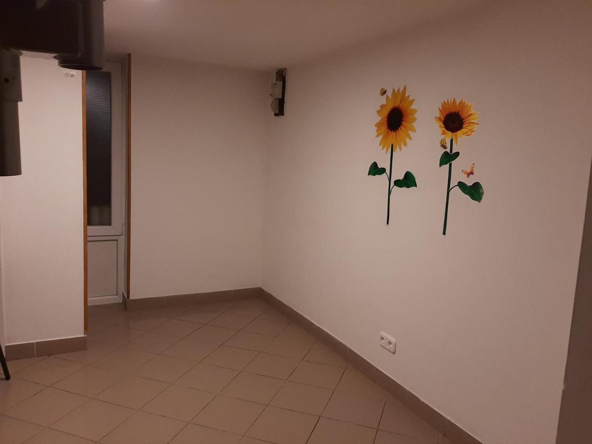Apartman Vorosmarty Apartment Budapesta Exterior foto